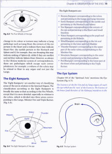 Diagnosis in Chinese Medicine