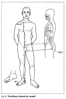 Pocket Atlas of Tongue Diagnosis