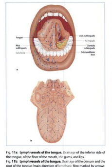 Pocket Atlas of Tongue Diagnosis