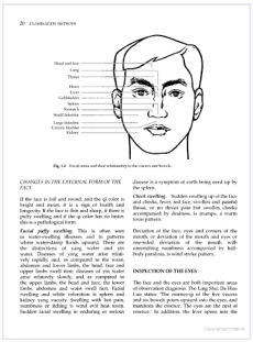 Practical Diagnosis in Traditional Chinese Medicine