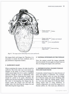 Practical Diagnosis in Traditional Chinese Medicine