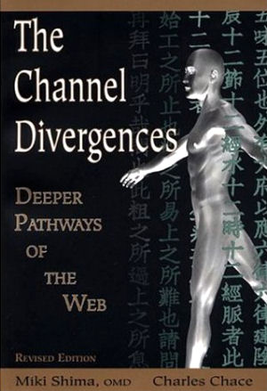 The Channel Divergences: Deeper Pathways of the Web