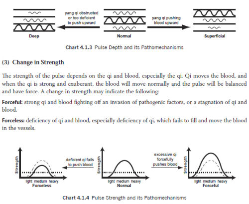 Traditional Chinese Medicine Diagnosis Study Guide