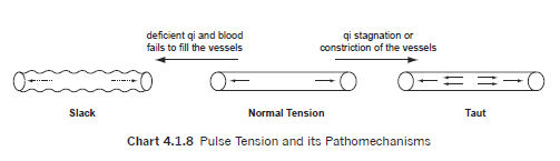 Traditional Chinese Medicine Diagnosis Study Guide