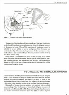 Treatment of Infertility with Chinese Medicine