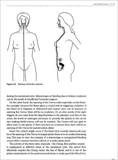 Treatment of Infertility with Chinese Medicine