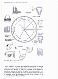 Treatment of Infertility with Chinese Medicine