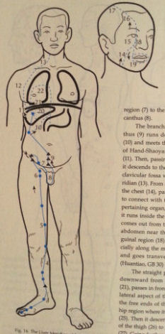 Chinese Acupuncture and Moxibustion