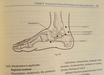 Chinese Acupuncture and Moxibustion