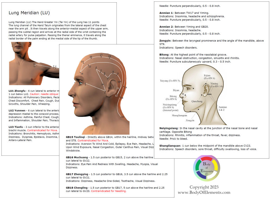 Acupuncture Handbook