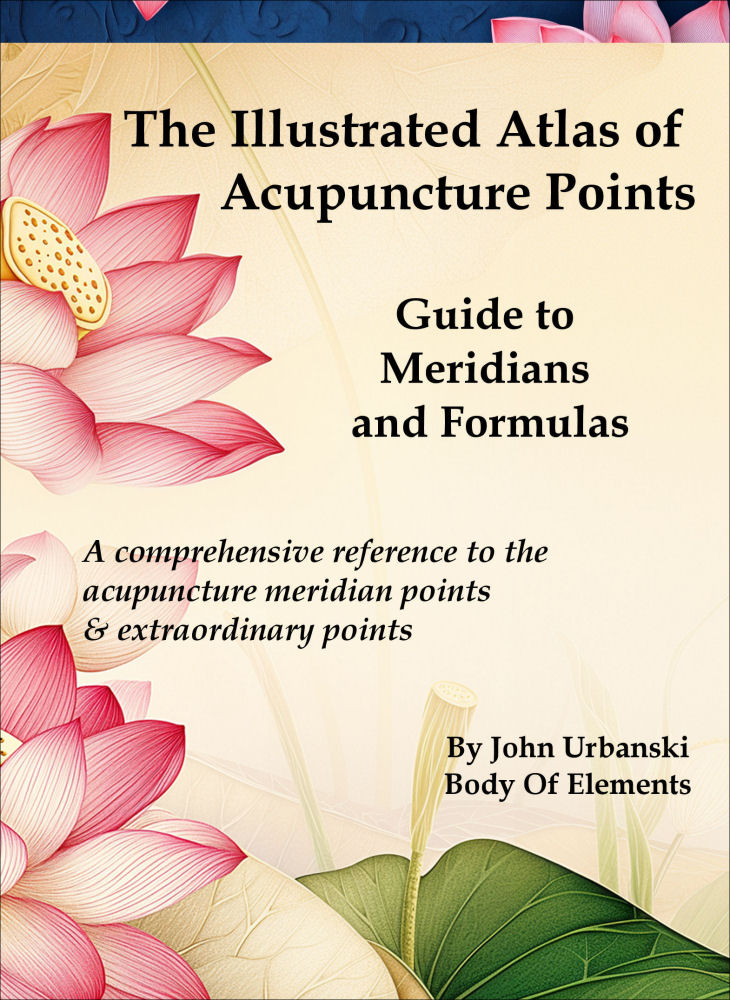 Illustrated Acupuncture Handbook
