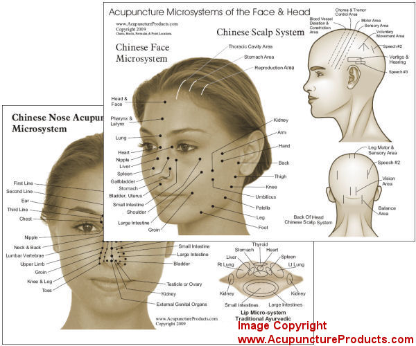 Face Acupuncture Chart