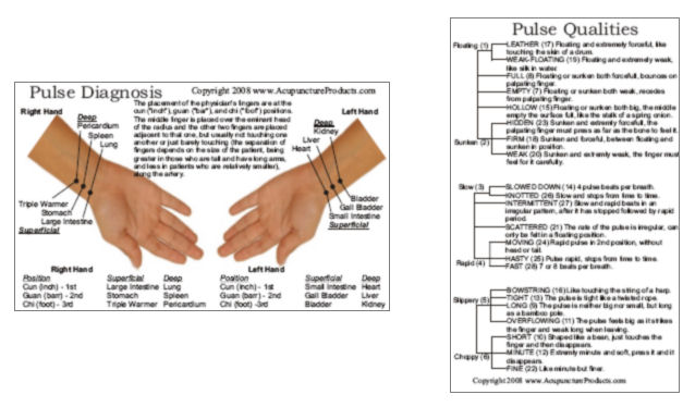 Pulse Diagnosis Chart Pdf