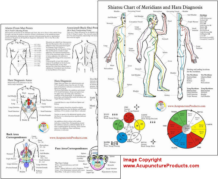 Shiatsu Chart of Meridians