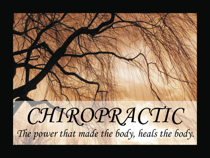 Chiropractic Saying