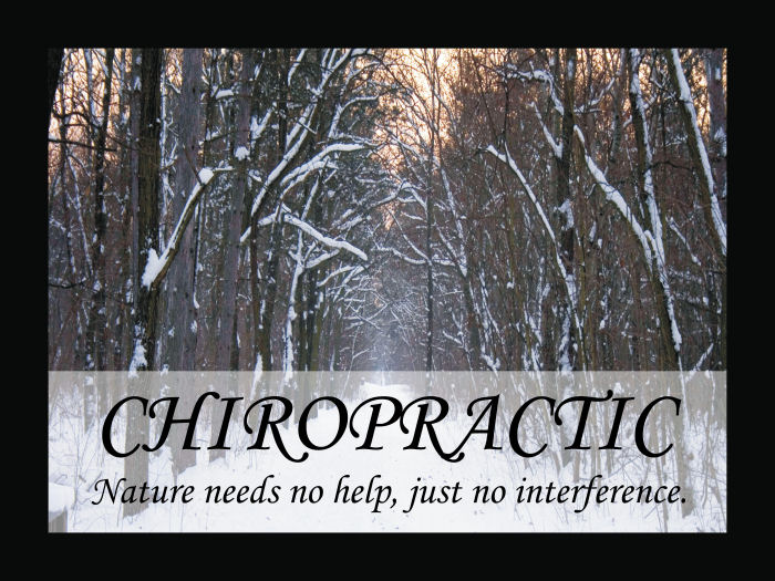 Chiropractic Quotation