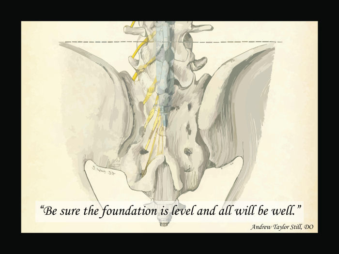 Osteopathic Quote