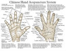 Acupuncture Charts