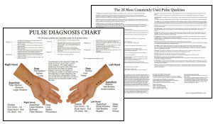 Ayurvedic Pulse Diagnosis Chart