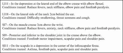 Cat Feline Acupuncture Chart