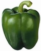 Green Pepper