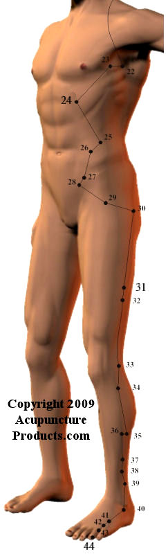 Gall Bladder Meridian