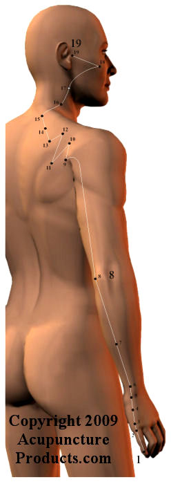 Small Intestine Meridian