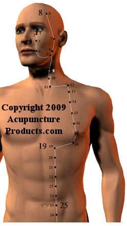 Acupuncture Points Chart Free Download