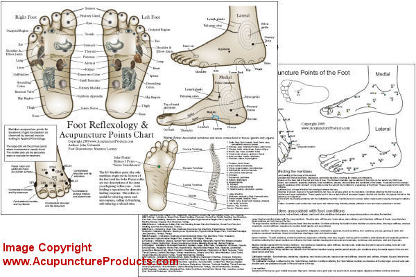 Foot Kinesiology Chart