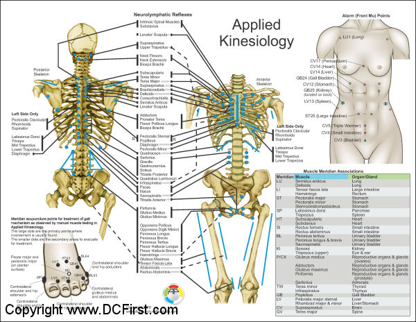 Applied Kinesiology Wall Chart