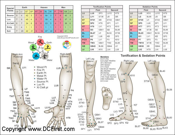 AK Tonification Sedation Points