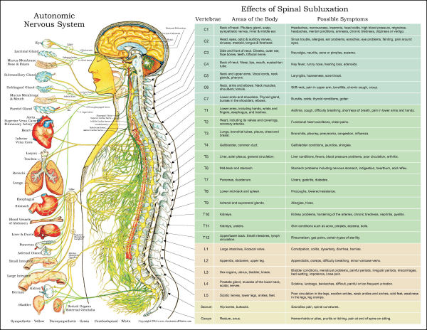 Subluxation Symptoms Chart