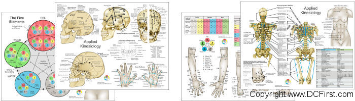 Applied Kinesiology Wall Chart