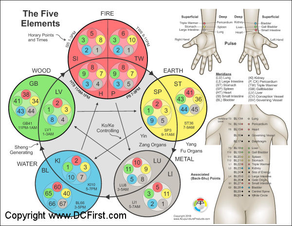 Chiropractor Pressure Points Chart