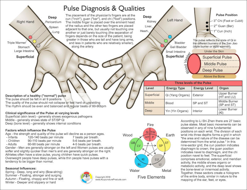 Chinese Pulse Diagnosis Chart