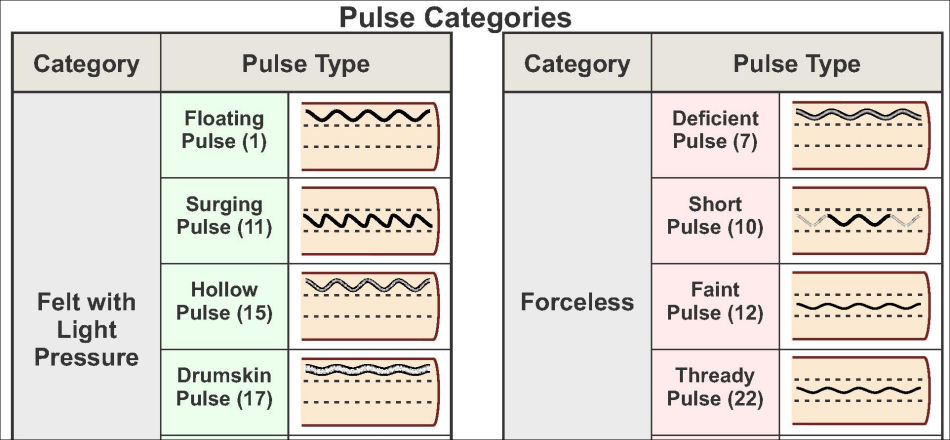 Chinese Pulse Diagnosis Chart