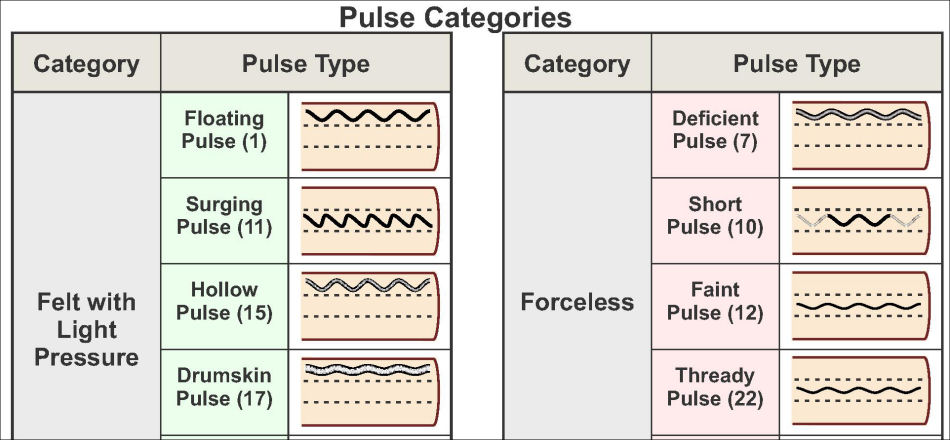 Tcm Pulse Diagnosis Chart