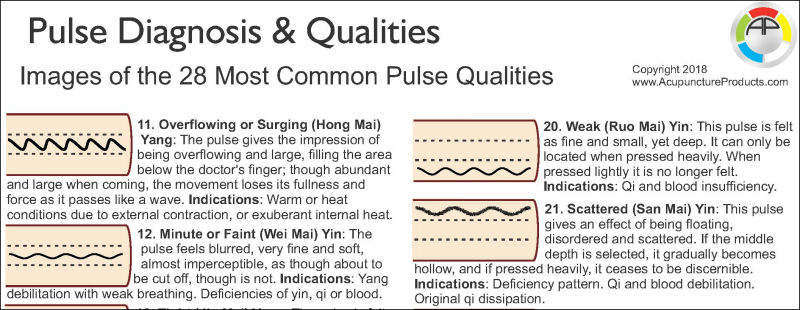 Pulse Diagnosis Illustrations Chart