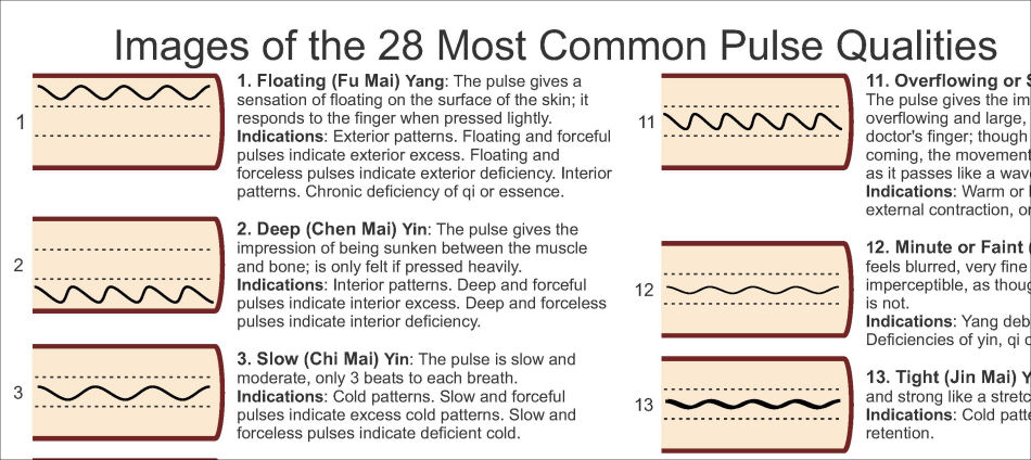 Pulse Diagnosis Qualities Poster