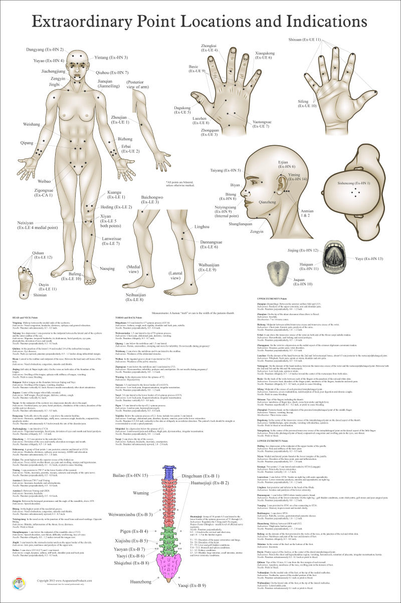 Extraordinary Acupuncture Points Chart