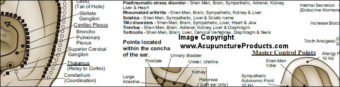 Auriculotherapy Ear Acupuncture Points Poster