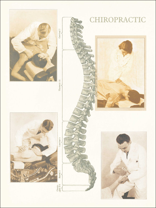 Chiropractic Posters