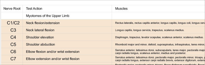 Dermatomes Myotomes and DTR Poster