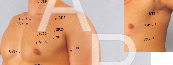 Dim Mak Pressure Points Charts Instruction