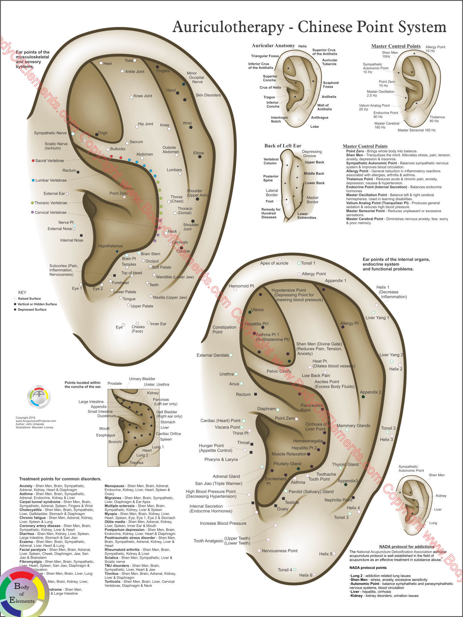 Ear Acupuncture Points Chart