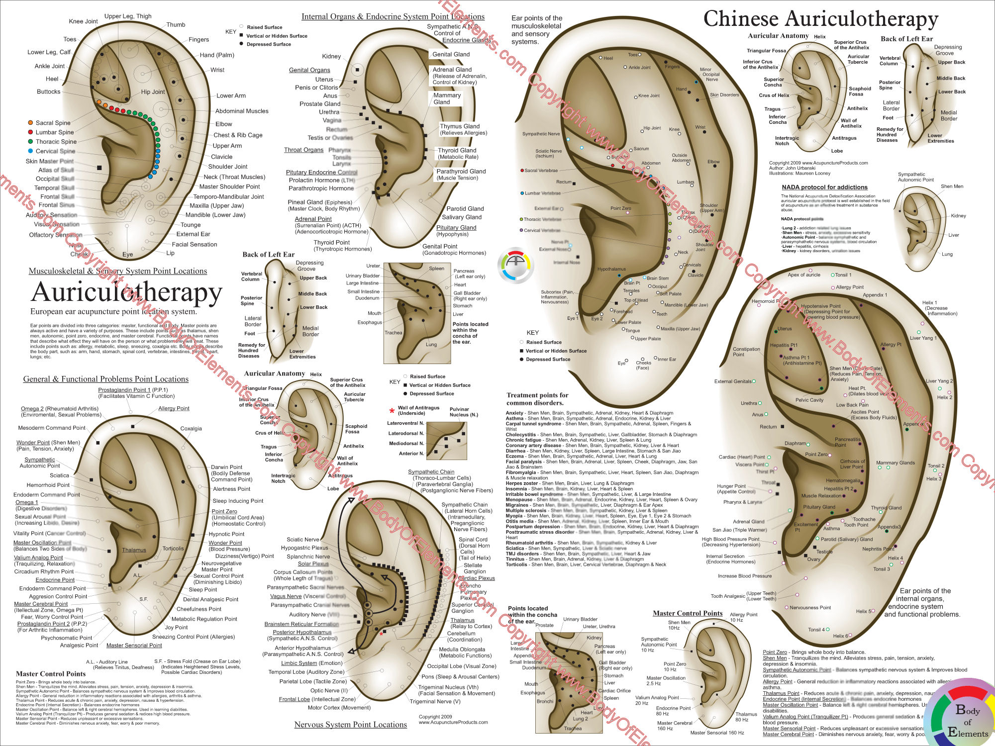 Auriculotherapy Chart Points