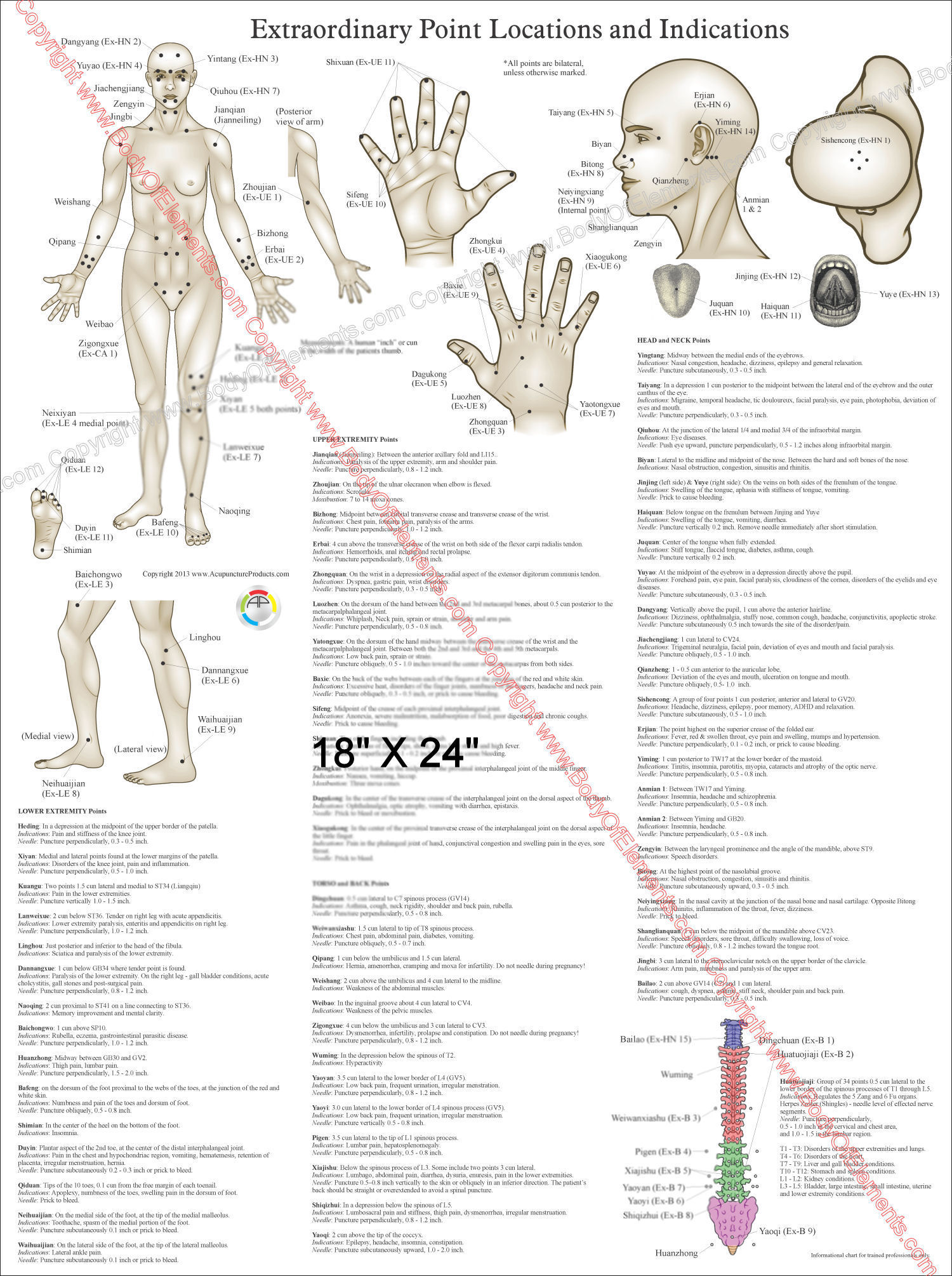 Extraordinary Acupuncture Points Poster