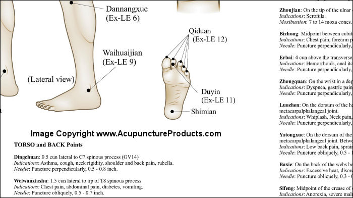 Ankle Acupuncture Points Chart