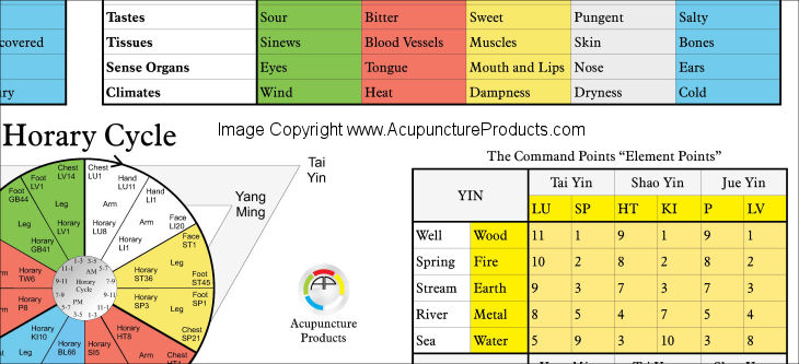 5 Element Acupuncture Points Chart