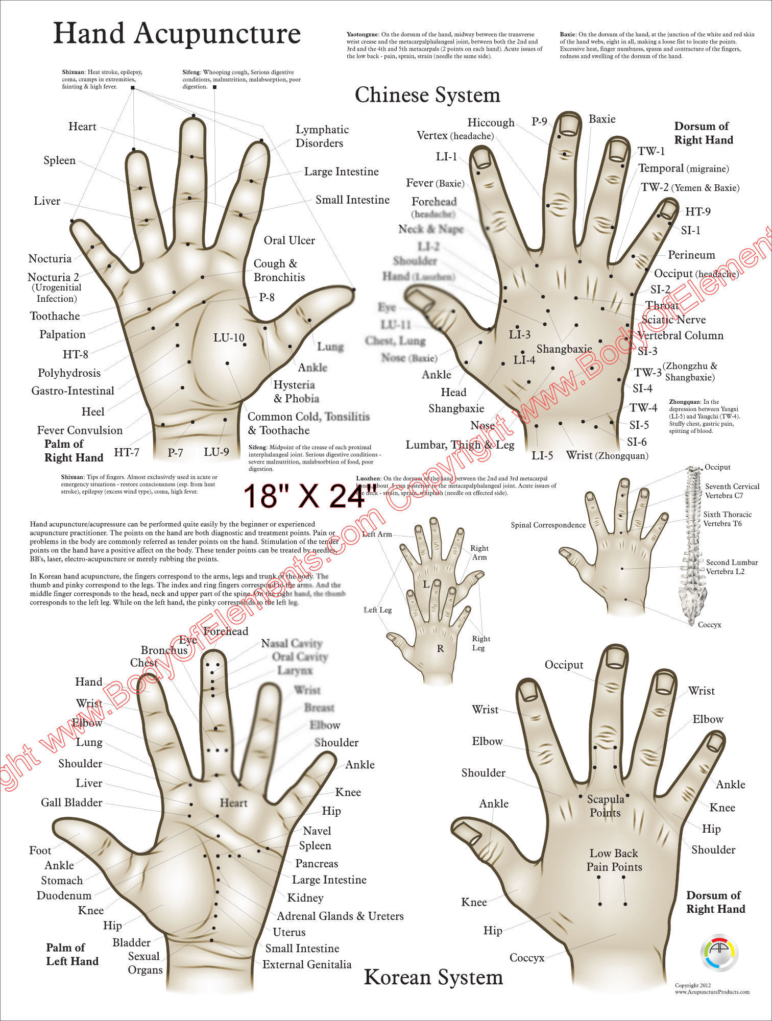 Chinese Hand Acupuncture Charts